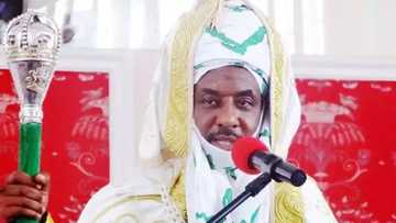 If we break Nigeria into components, Northern Nigeria will be the poorest – Sanusi
