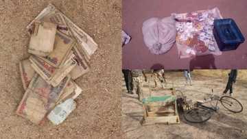 Soldiers kill 6 notorious Boko Haram terrorists, arrest their logistics supplier (photos)