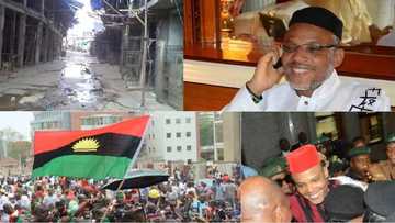 75 countries including UK, Russia observed sit-at-home order - IPOB