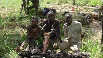 Wasu ‘yan farauta 3 sun bakonci gidan kaso a Bauchi