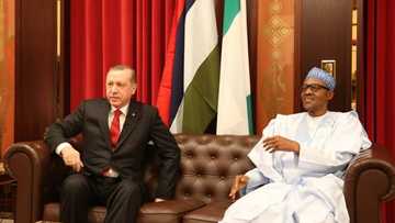 Buhari ya yi magana da Shugaban Turkiyya a kan muzgunuwar da Israila ta ke yi wa Falasdina