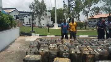 Vandals allegedly steal 33,000-litre fuel from NNPC pipelines