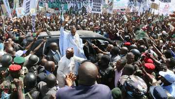 Zaben 2019: Shugaba Buhari zai doke Kwankwaso a Kano inji Hadimin Shugaban kasa
