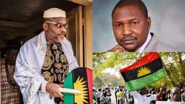 Nnamdi Kanu challenges court order declaring IPOB terrorist organisation