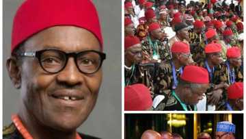If Buhari dies, the Igbos will be the biggest losers