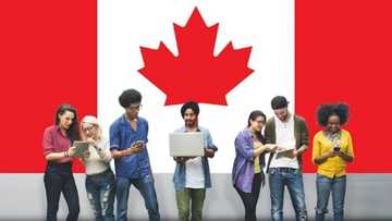 Top 10 diploma courses in Canada for international students