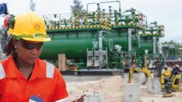 Kamfanin Shell zai saka hannun jarin Dala Biliyan 15 a Najeriya - Shugaba Buhari