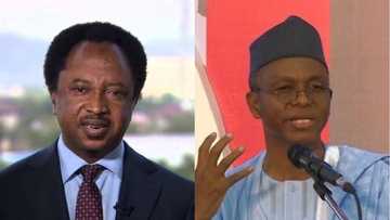 Rikicin siyasar Kaduna: Shehu Sani ya fallasa makasudin da El-Rufai ke son ganin bayansa