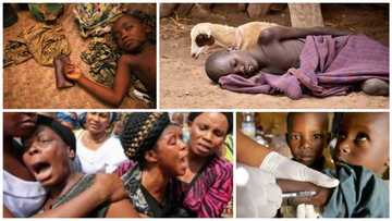 Buhari's minister calls for calm as fresh outbreak of disease kills 328 Nigerians