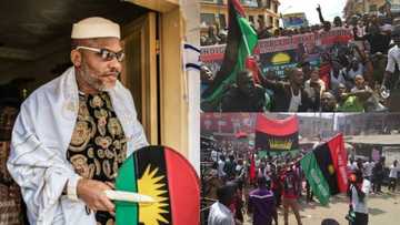 Opinion: IPOB agitations; between activism and terrorism