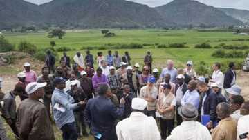 Wasu jihohi a yankin arewa suna fuskantar barazanar yunwa