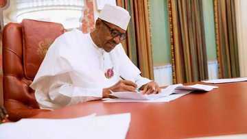 You failed to honour Abiola in 16 years - Nigerians blasts PDP for criticising President Buhari