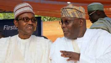 An kusa bawa hammata iska tsakanin kakakin Buhari da na Atiku