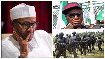 Operation Python Dance: Charly Boy pleads with Buhari to intervene, reveals what he witnessed during civil war