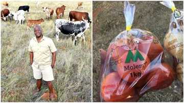 Popular rapper Mo Molemi gives up his music career to be a farmer (photos)