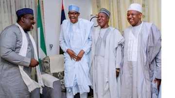 Sauyin sheka da harigido bai isa ya rikita ni ba - Shugaba Buhari