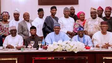 Why Buhari will win by landslide in southeast, south south in 2019 - PSC coordinator