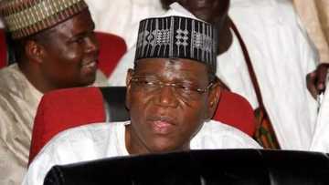 Smaller thieves remained in PDP, bigger ones went to APC - Sule Lamido
