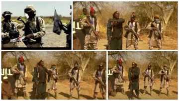 Manyan kalamai 13 daga sabon bidiyon da Boko Haram ta saki