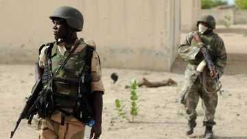 Troops rescue girl abandoned by Boko Haram - Army