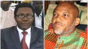 Meeting Nnamdi Kanu in Kuje was a sobering experience for me - Nigerian journalist