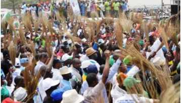 Crisis in Lagos APC as ex-LGA chairman is allegedly arrested, detained following violence during Congress