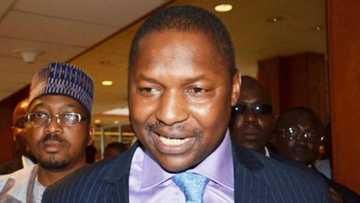 Revealed: How Buhari’s minister allegedly ordered recall of sacked ex-pension boss Abdulrasheed Maina - Government sources