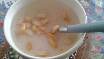 Read Why You At Danger Of Contracting Lassa Fever With Intake Of Soaked Garri