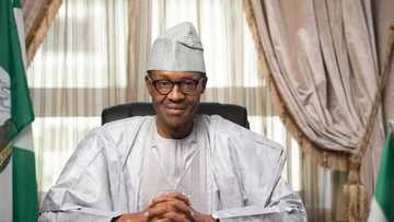 Buhari Advised To Extend Anti-Corruption War To Ex-Leaders