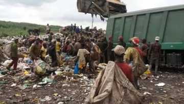 An kori masu tsintar bola daga babban birnin tarayya Abuja