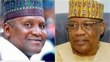 An goga gemu da gemu tsakanin hamshakin dan kasuwa Dangote da IBB a Mnna