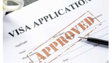 Ireland visa requirements and application guidelines