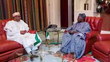BREAKING: Buhari and Obasanjo in another crucial meeting inside Aso Rock