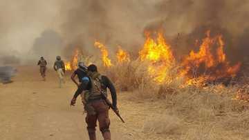 Yanzu-Yanzu: 'Yan kunan bakin wake 3 sun mutu a Maiduguri - NEMA