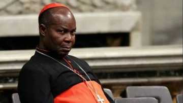 Looters’ list: APC, PDP in a show of shame - Okogie