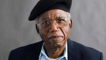 Nigerian writer Chinua Achebe celebrated by Google