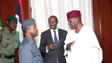 Buhari's aides are uncomfortable with Osinbajo's rising popularity - Report