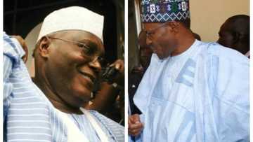 Buhari should be blamed if the north does not get presidency in 2019 - Junaid