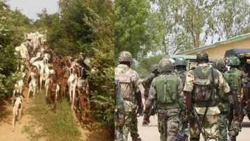 Sai ran Hausawa 120 ya salwanta idan aka kashe Bafulatani 1 – Wasu yan bindiga sun yi wa gwamnati raddi