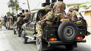 Python dance: Federal High Court orders accelerated hearing in suit against Buhari, army