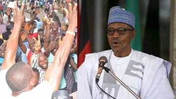 GOOD NEWS: FG to give out huge funds Nigerian businessmen, lists qualifications