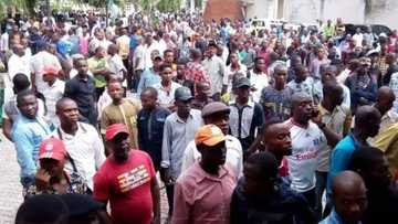 2019: APC ta samu dinbin sababbin Magoya-baya a Kudancin Najeriya