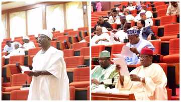 Defection: 7 PDP senators set to decamp to APC - Ndume