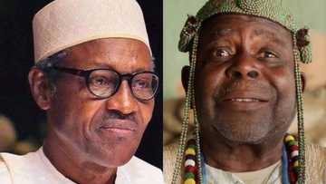 Popular Ifa priest, Elebuibon reveals when Nigeria's economic recession will finally end