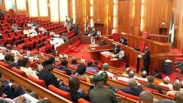 Tuna baya: Lokacin da aka sauke Shugabannin Majalisun Dattawa