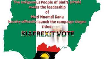 MEND is now a media and publicity arm of DSS - IPOB