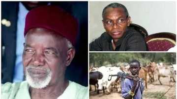 Southern Kaduna killings: Stop accusing Fulani herdsmen and Muslims, it is dangerous - Balarabe Musa