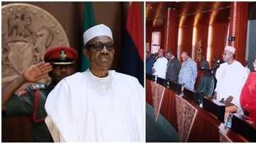 Panic grips ministers as President Buhari reportedly plans to dissolve his cabinet