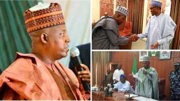 Duk wanda ya ce na nemi shugabancin kasa yanzu ya na da tabuwan hankali – Kashim Shettima