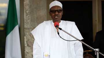 Rabin 'yan Najeriya na fuskantar rashin adalci daga Shugaba Buhari - Shehin malami